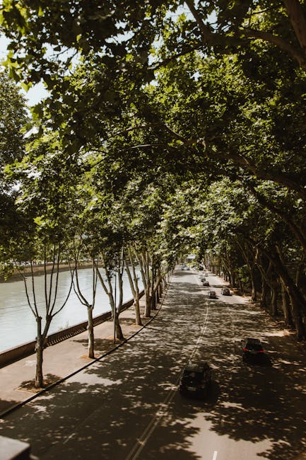 Journée bien-être : yoga et nature près de Florence 5 florence parco delle cascine riverside plane trees path
