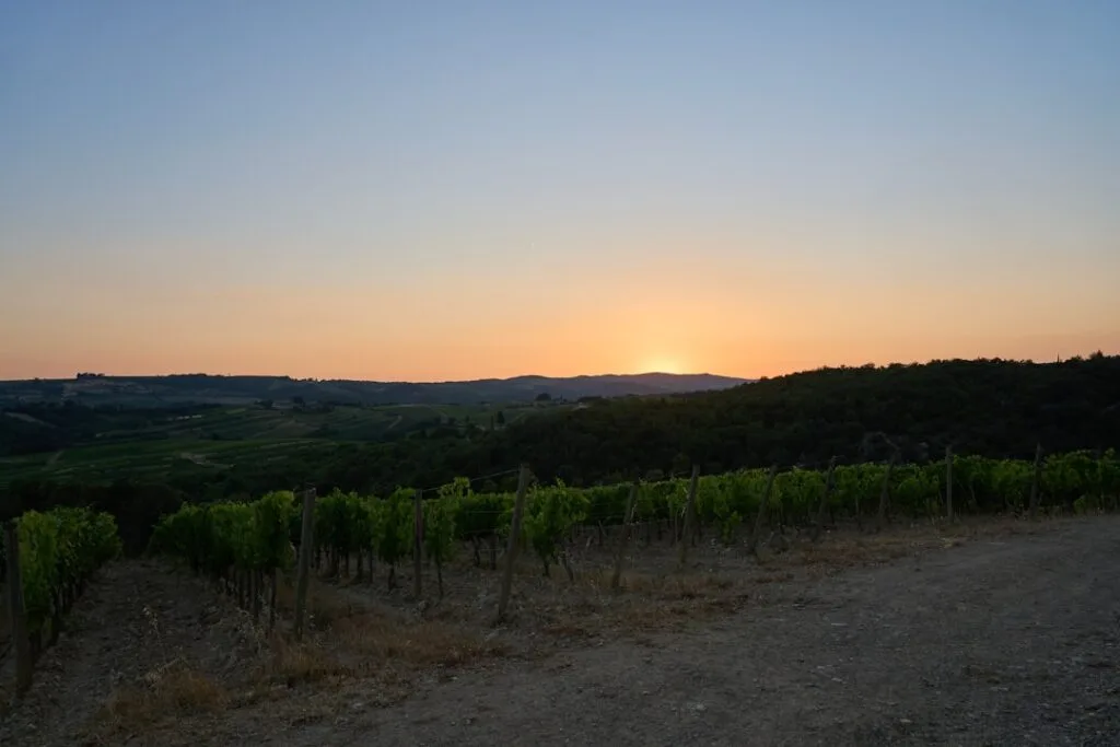 Weinberge und Hügel der Chianti-Region bei Sonnenuntergang über unbefestigtem Weg