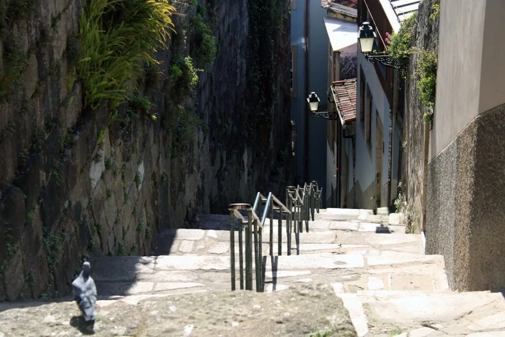 Steinerne Treppe zwischen Mauern mit Geländer und Taube in Florenz