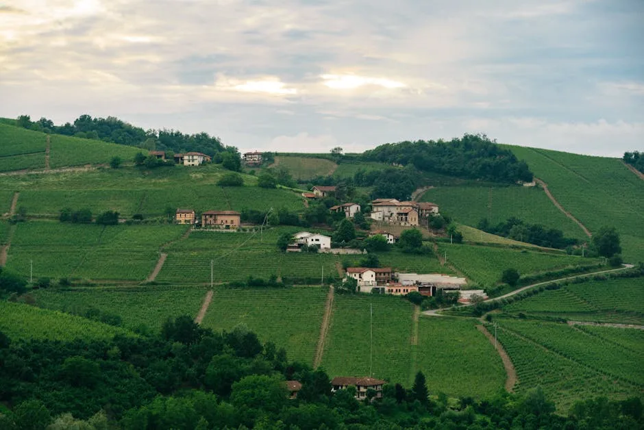 Collines viticoles du Chianti près de Florence avec maisons disséminées.