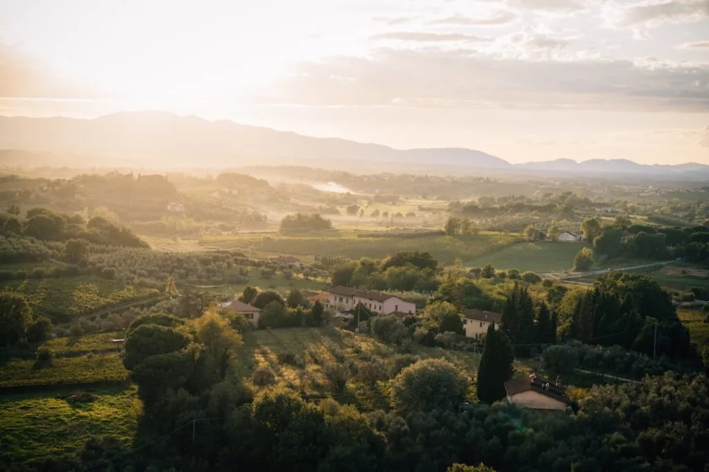 Toskanische Hügellandschaft mit Olivenhainen und Bauernhöfen bei Florenz