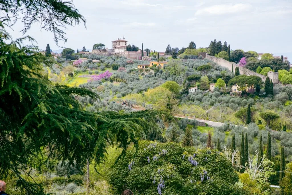Blick über hügelige Olivenhaine und Villen rund um Florenz