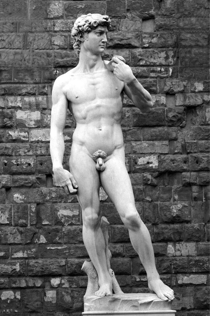 Marmorstatue des David vor rustikaler Mauer in Florenz